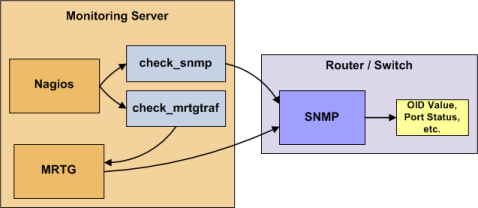 Monitoring a Router or Switch